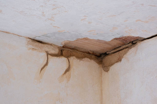 Best Water damage restoration mold remediation  in USA